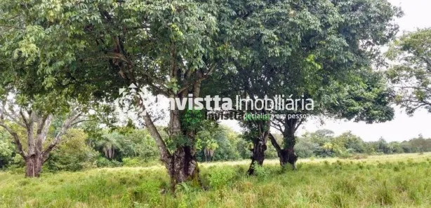 Fazenda / Sítio / Chácara à venda, 654m² no Centro, Divinópolis do Tocantins