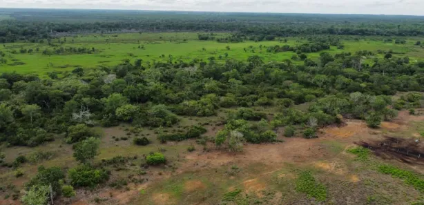 Fazenda / Sítio / Chácara com 3 Quartos à venda, 160m² no , Lagoa da Confusão