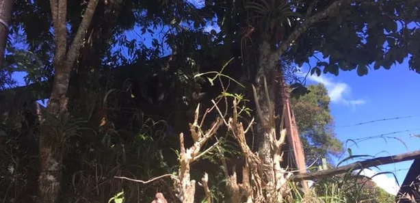 Terreno / Lote / Condomínio à venda, 10m² no Castelanea, Petrópolis