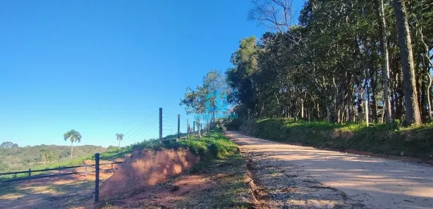 Fazenda / Sítio / Chácara à venda, 24000m² no Itaqui de Cima, Campo Largo