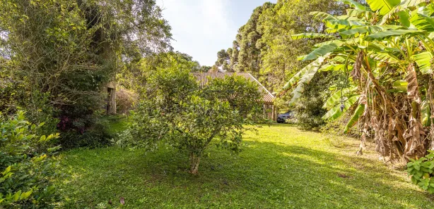 Fazenda / Sítio / Chácara com 3 Quartos à venda, 100m² no Parque das Nascentes, Pinhais