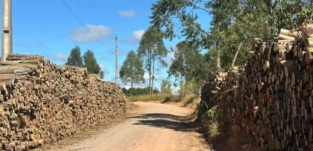 Fazenda / Sítio / Chácara à venda, 1000m² no Cocais, Ibiúna