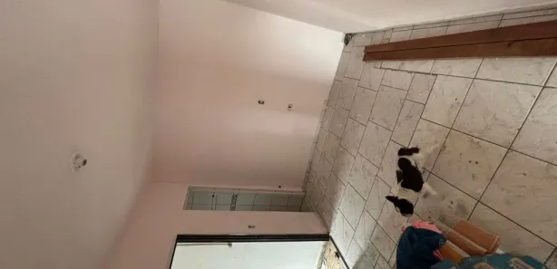 Apartamento com 2 Quartos para alugar, 100m² no Jardim Ipanema, Campina Grande do Sul