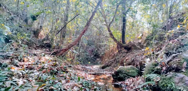 Fazenda / Sítio / Chácara à venda, 20000m² no Setor de Habitações Individuais Sul, Brasília