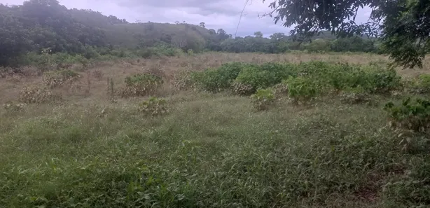 Fazenda / Sítio / Chácara à venda, 110000m² no Papucaia, Cachoeiras de Macacu