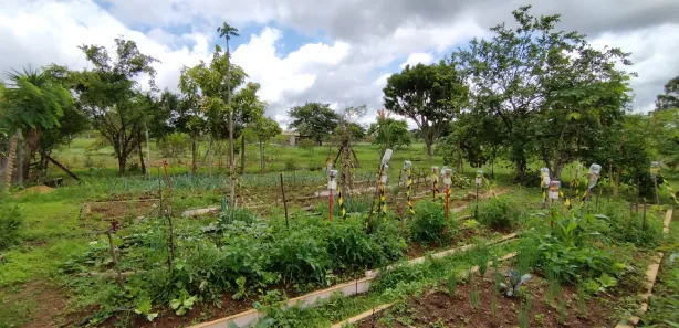 Fazenda / Sítio / Chácara com 5 Quartos à venda, 380m² no Núcleo Rural Lago Oeste, Brasília