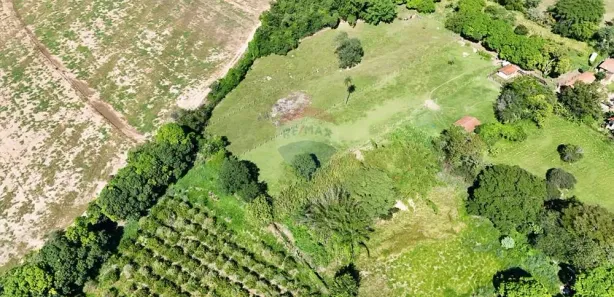 Fazenda / Sítio / Chácara à venda, 6500m² no Condomínio Rural Colméia, Jaguariúna