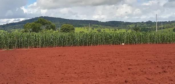 Fazenda / Sítio / Chácara à venda, 2000m² no Área Rural, Goianira