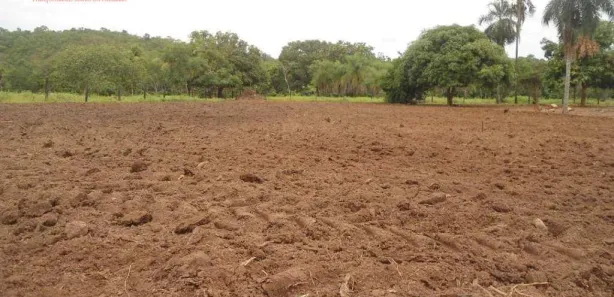 Fazenda / Sítio / Chácara com 2 Quartos à venda, 160m² no Centro, Pium