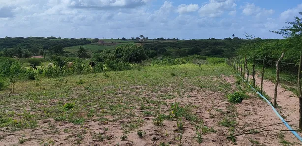 Fazenda / Sítio / Chácara com 4 Quartos à venda, 400000m² no , Vera Cruz