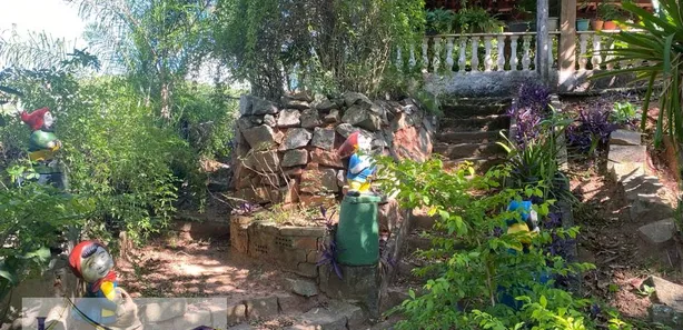 Fazenda / Sítio / Chácara com 3 Quartos à venda, 200m² no Mantiquira, Paty do Alferes