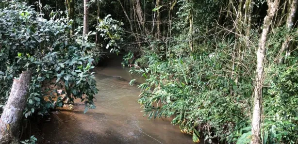 Fazenda / Sítio / Chácara com 4 Quartos à venda, 169000m² no Três Córregos, Campo Largo