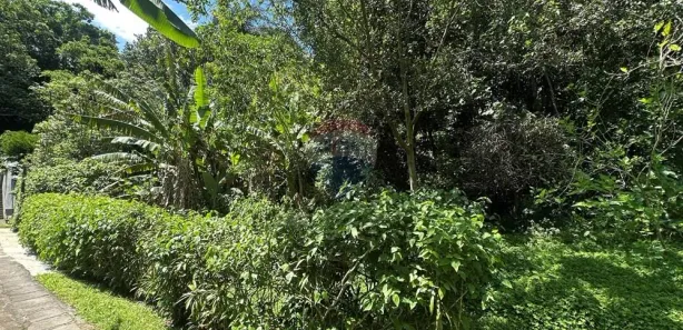 Terreno / Lote / Condomínio à venda, 1153m² no Castelanea, Petrópolis