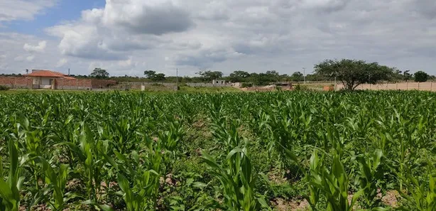 Terreno / Lote / Condomínio à venda, 1410m² no Maria Quitéria, Feira de Santana
