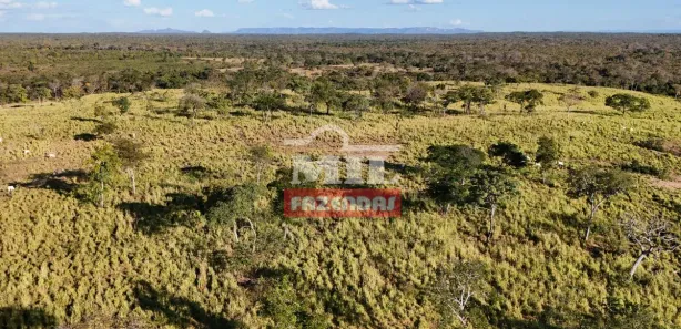 Fazenda / Sítio / Chácara à venda, 500m² no , Paranã