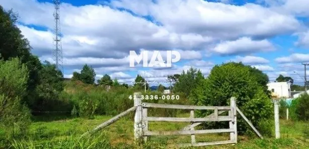 Terreno / Lote Comercial para alugar, 4380m² no Borda do Campo, Quatro Barras