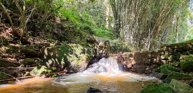 Fazenda / Sítio / Chácara com 4 Quartos à venda, 6000m² no Posse, Petrópolis