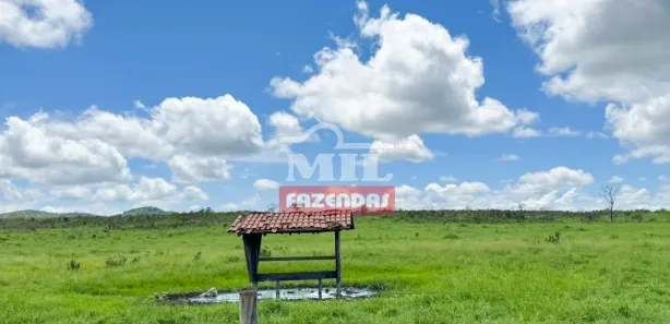 Fazenda / Sítio / Chácara à venda, 20000m² no , Paranã