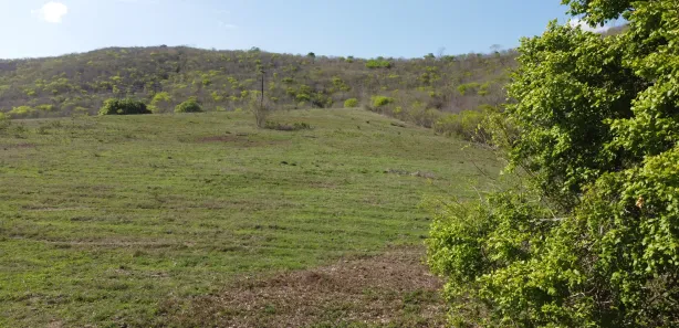 Fazenda / Sítio / Chácara à venda, 170m² no , Passira