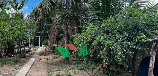 Fazenda / Sítio / Chácara com 2 Quartos à venda, 65m² no Centro, Santa Rita