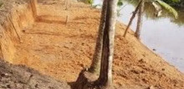 Terreno / Lote / Condomínio à venda, 12000m² no Coqueiros de Monte Gordo (Monte Gordo), Camaçari