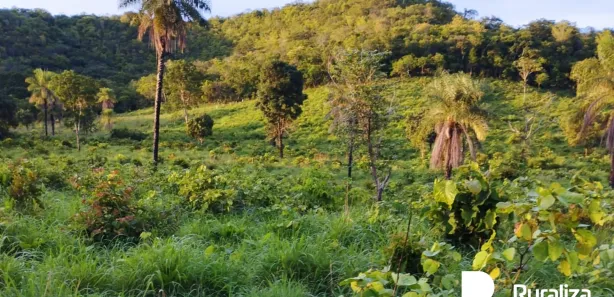 Fazenda / Sítio / Chácara à venda, 193m² no , Rio Sono