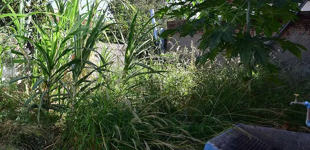 Galpão / Depósito / Armazém à venda, 300m² no Chácara da Galega, Pindamonhangaba