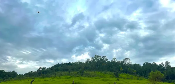 Fazenda / Sítio / Chácara à venda, 1000m² no Saboó, São Roque