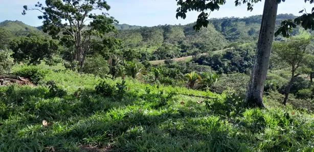 Fazenda / Sítio / Chácara com 2 Quartos à venda, 10160000m² no , Padre Bernardo