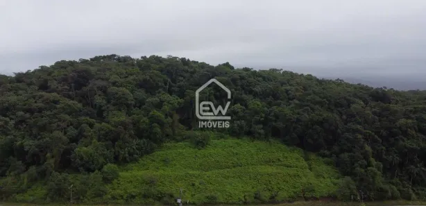 Galpão / Depósito / Armazém à venda, 39238m² no , Massaranduba