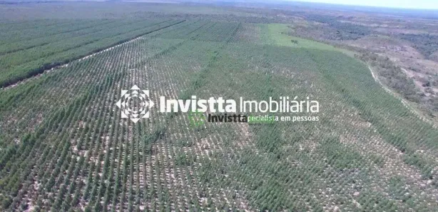 Fazenda / Sítio / Chácara à venda, 1050m² no , Rio Sono