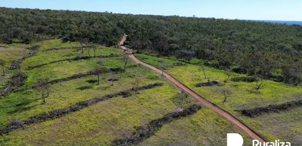 Fazenda / Sítio / Chácara à venda, 488m² no , Ponte Alta do Tocantins