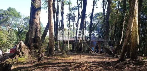 Fazenda / Sítio / Chácara com 2 Quartos à venda, 100m² no , Tijucas do Sul