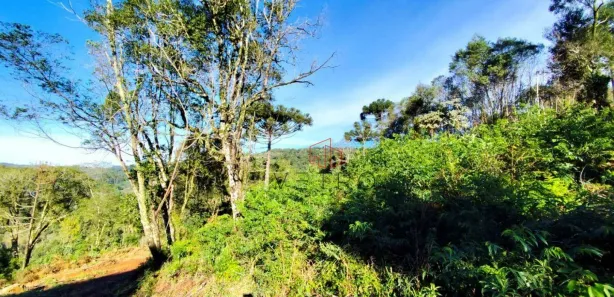 Fazenda / Sítio / Chácara à venda, 30000m² no , Santa Maria do Herval