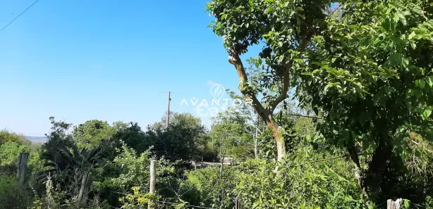 Terreno / Lote / Condomínio à venda, 588m² no Boi Morto, Santa Maria