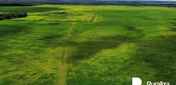 Fazenda / Sítio / Chácara à venda, 2100m² no , Pium