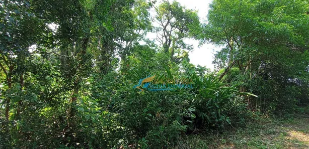 Fazenda / Sítio / Chácara à venda, 13000m² no , Corbélia