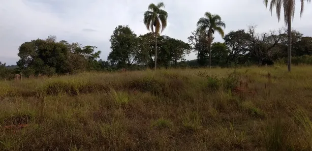 Fazenda / Sítio / Chácara com 3 Quartos à venda, 70m² no , Pilar do Sul