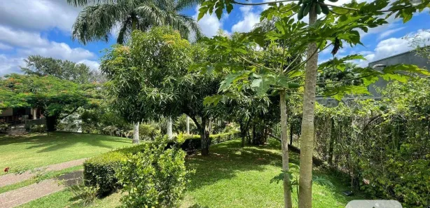 Fazenda / Sítio / Chácara com 4 Quartos à venda, 543m² no Monterrey, Louveira