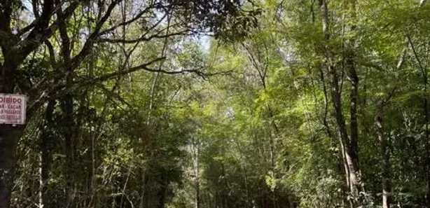 Fazenda / Sítio / Chácara com 3 Quartos à venda, 67300m² no , Taquaraçu de Minas