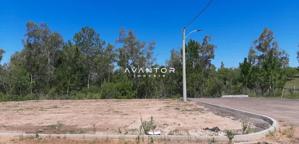 Terreno / Lote / Condomínio à venda, 453m² no Tomazetti, Santa Maria