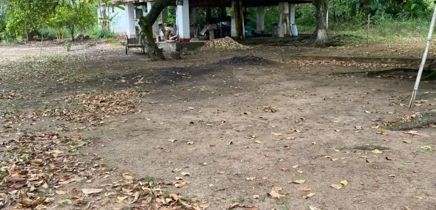 Fazenda / Sítio / Chácara à venda, 220000m² no Povoado, Alhandra