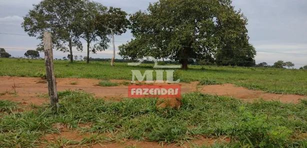 Fazenda / Sítio / Chácara à venda, 500m² no , Pium