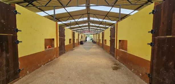 Fazenda / Sítio / Chácara com 4 Quartos para alugar, 53800m² no Rui Sanglard, Nova Friburgo
