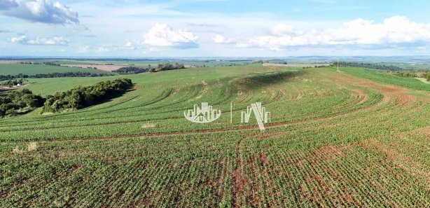 Fazenda / Sítio / Chácara à venda, 4065600m² no Cornélio Procópio, Cornélio Procópio
