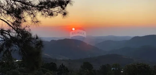 Terreno / Lote / Condomínio à venda, 3001m² no Pedro do Rio, Petrópolis