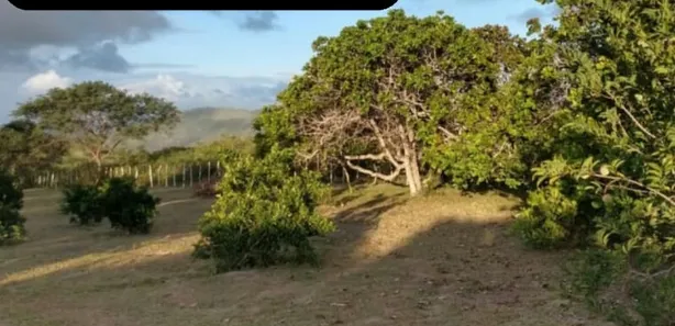 Fazenda / Sítio / Chácara à venda, 23500m² no Alpes Suiços, Gravatá