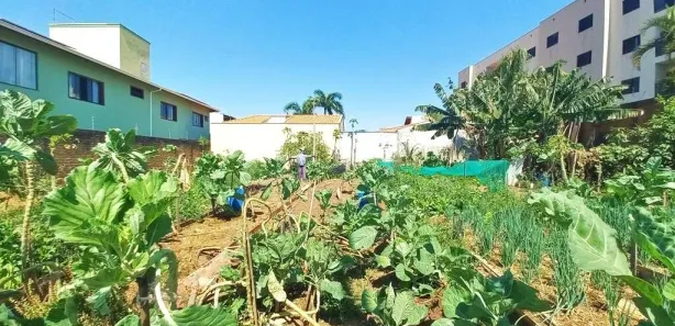 Terreno / Lote / Condomínio para alugar, 443m² no Vila Solar, Limeira