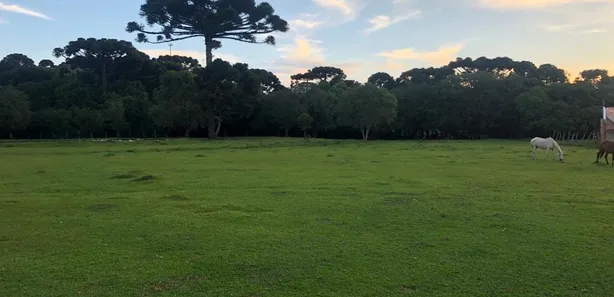Terreno / Lote / Condomínio à venda, 32697m² no Jardim Céu Azul, Campo Largo