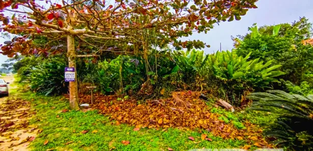 Terreno / Lote / Condomínio à venda, 300m² no Praia do Ervino, 
